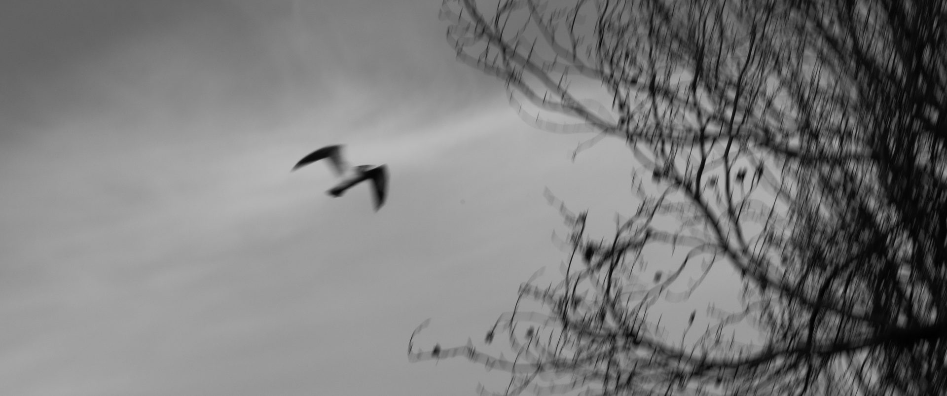 Experimental